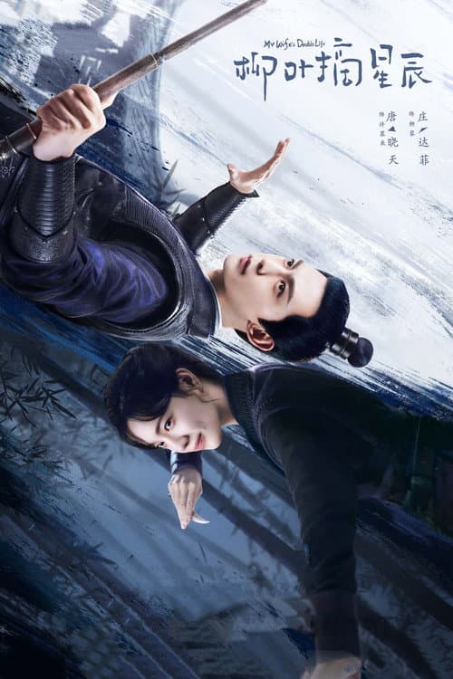 柳叶摘星辰 afişi
