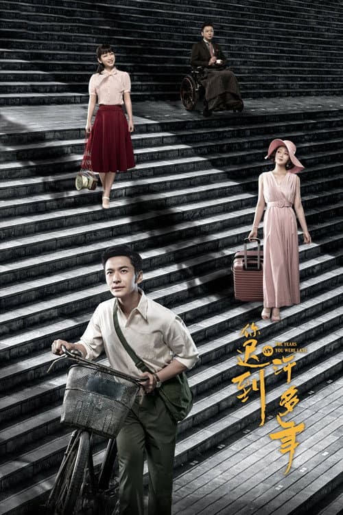 你迟到的许多年 afişi