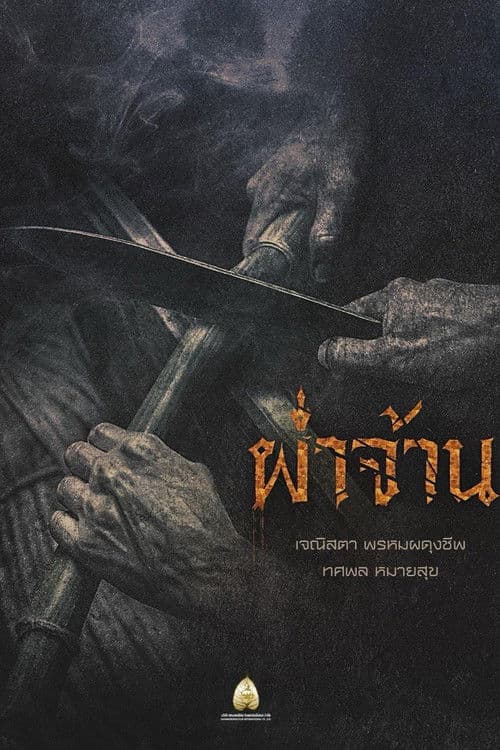 ผ่าจ้าน afişi