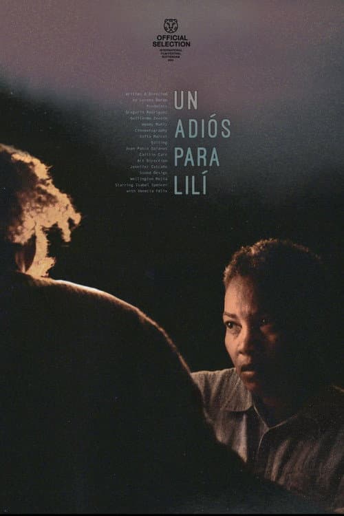 Un adiós para Lilí afişi