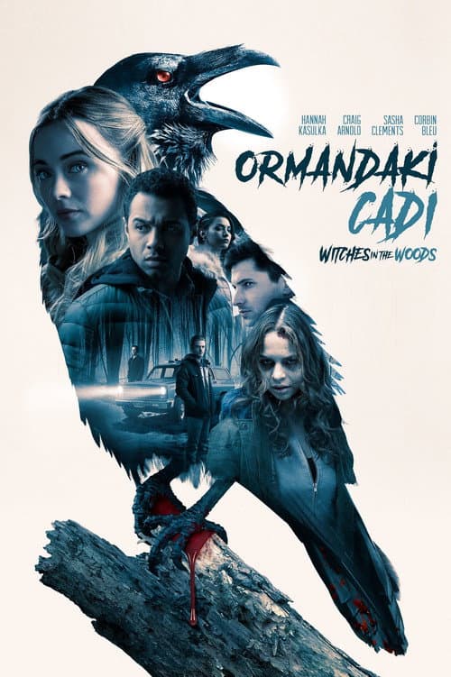 Ormandaki Cadı afişi