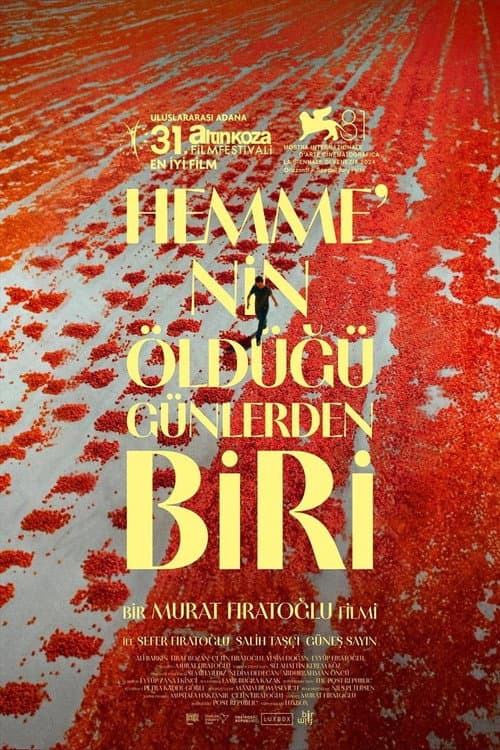 Hemme’nin Öldüğü Günlerden Biri afişi
