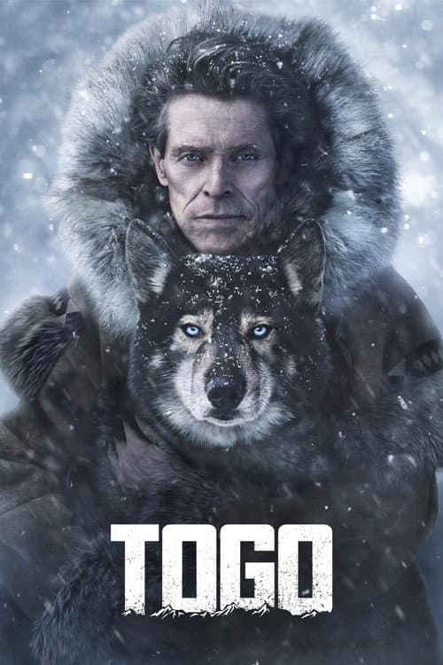 Togo afişi