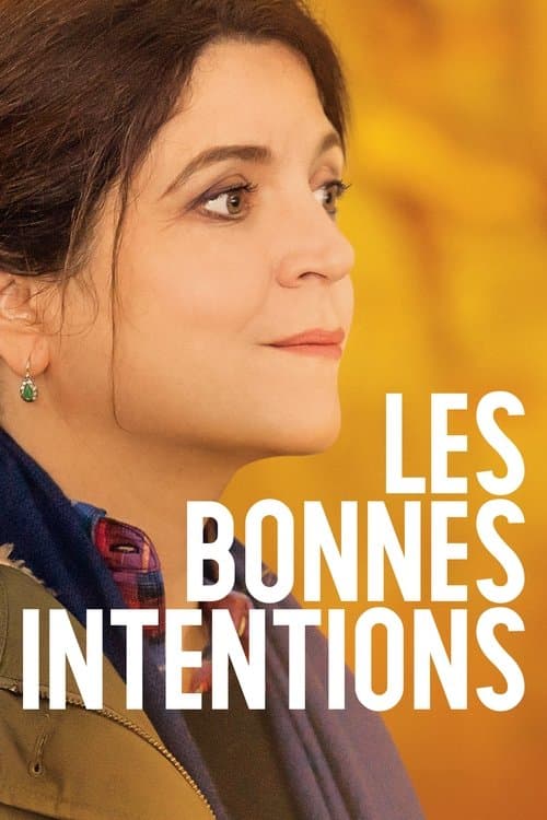 Les bonnes intentions afişi