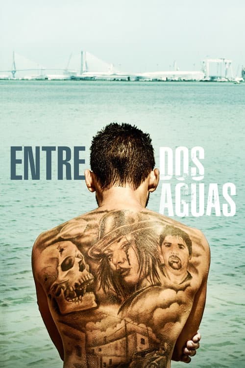 Entre dos aguas afişi