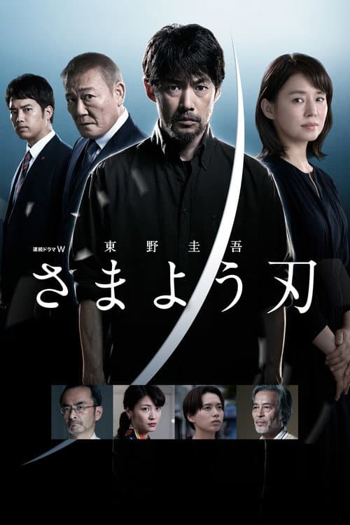 さまよう刃 afişi