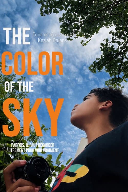 The color of the sky afişi