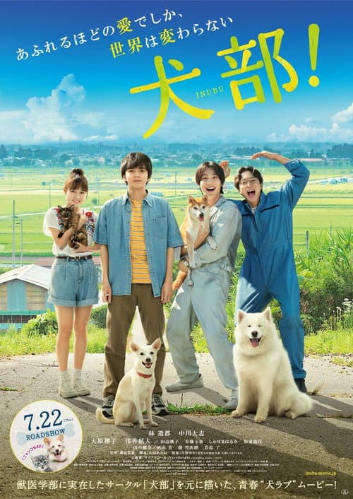 犬部！ afişi