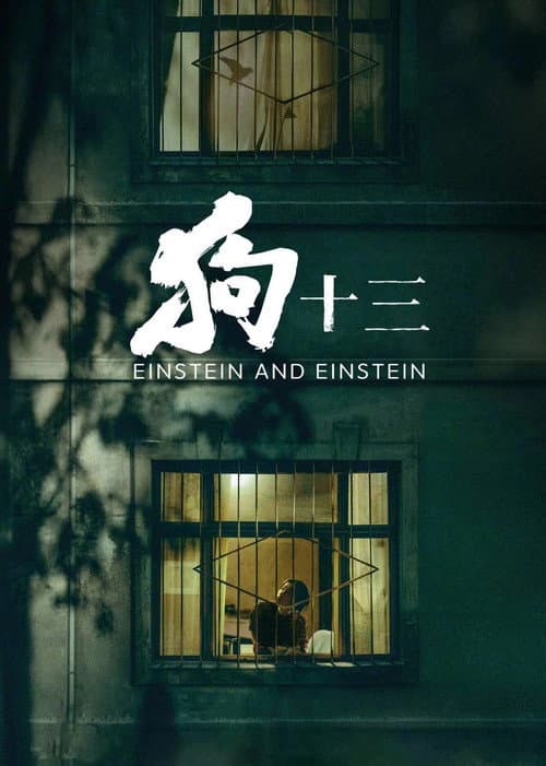 狗十三 afişi