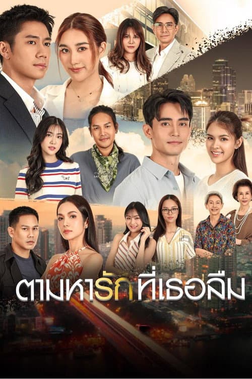 ตามหารักที่เธอลืม afişi