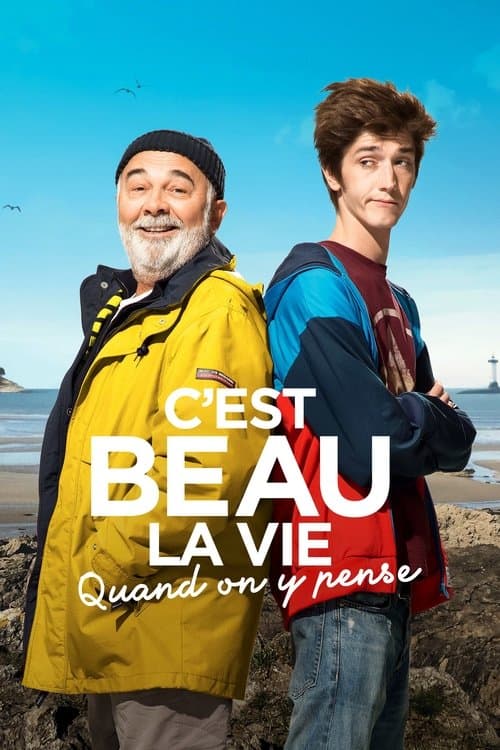 C'est beau la vie quand on y pense afişi