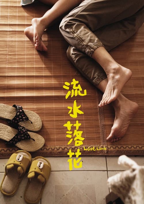 流水落花 afişi
