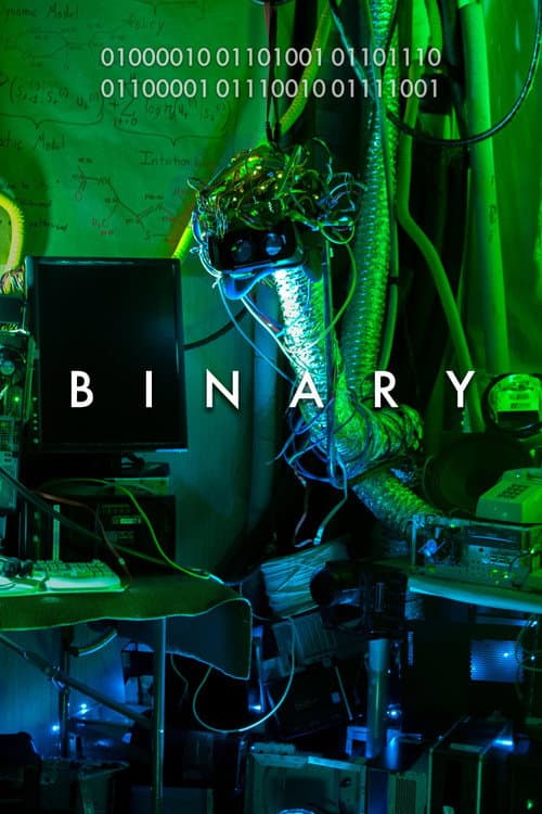 Binary afişi