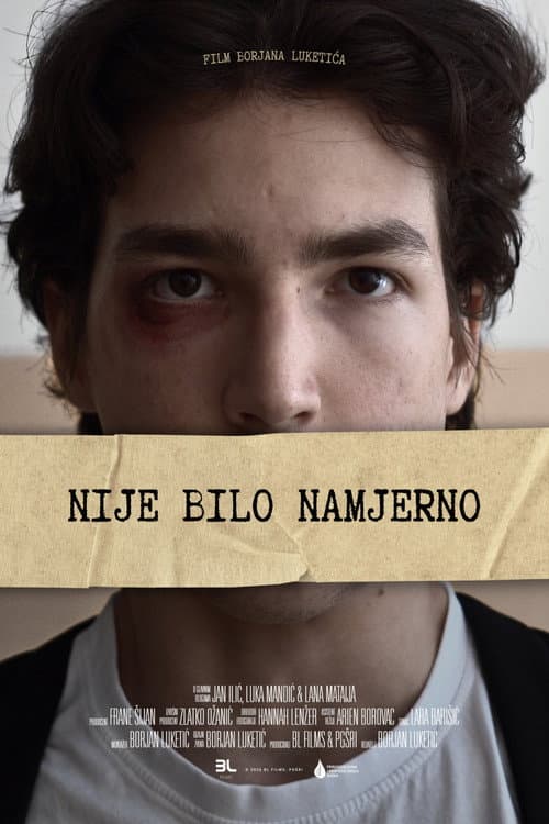 Nije bilo Namjerno afişi