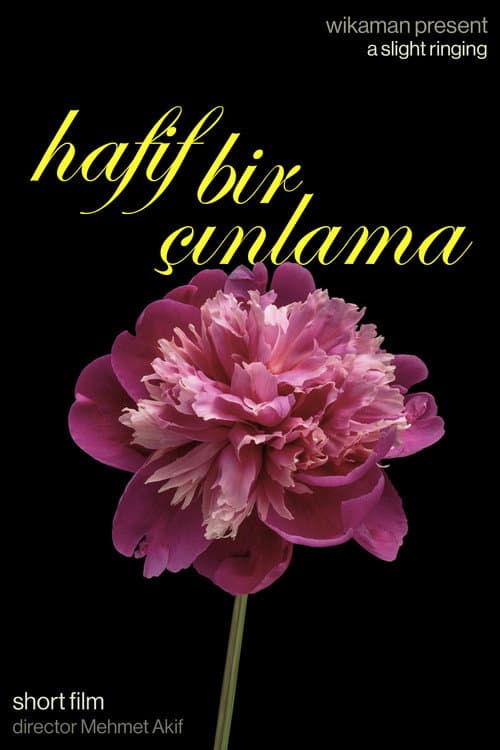 Hafif Bir Çınlama afişi