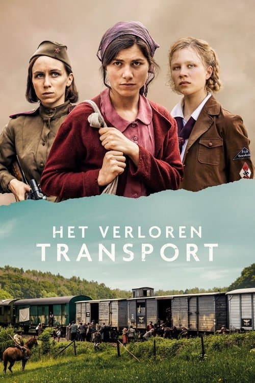 Lost Transport afişi