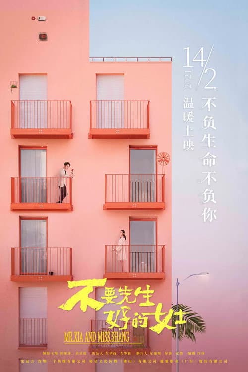 不要先生与好的女士 afişi