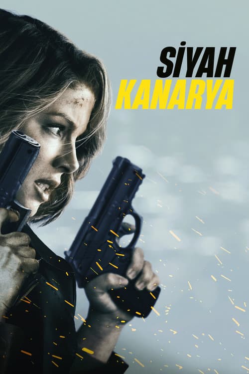 Siyah Kanarya afişi