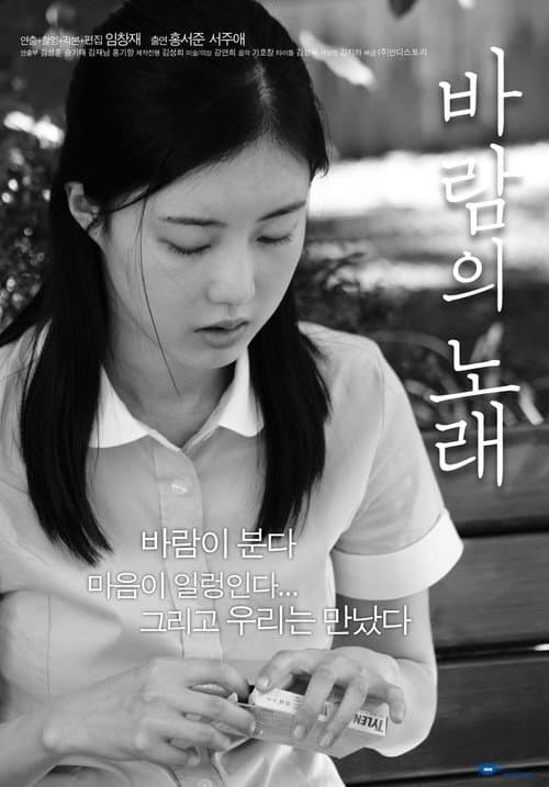 바람의 노래 afişi