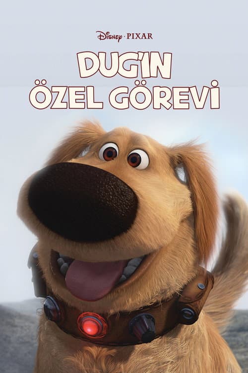 Dug'ın Özel Görevi afişi