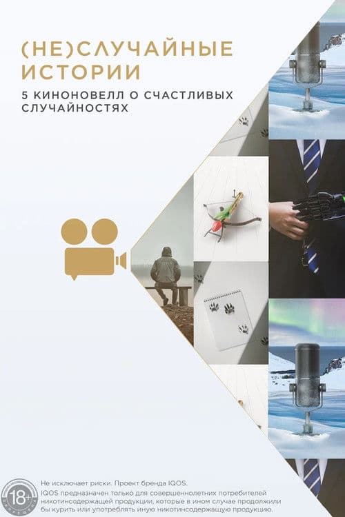 (Не)случайные истории afişi