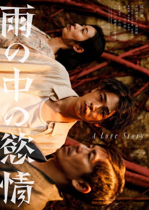 雨の中の慾情 afişi