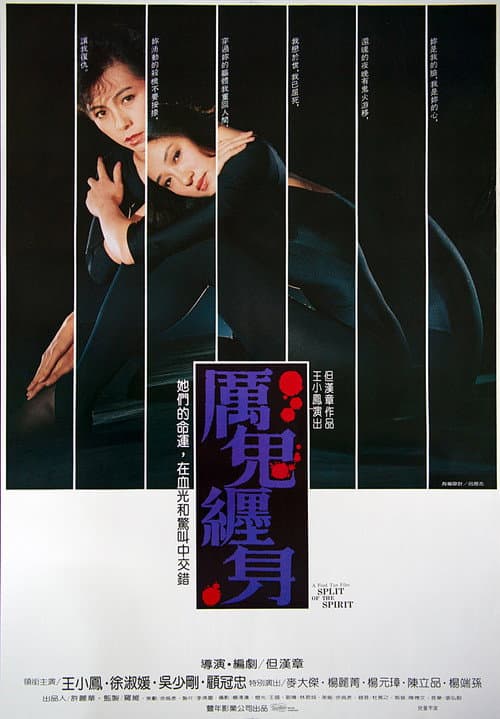 離魂 afişi