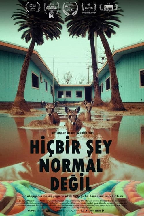 Hiçbir Şey Normal Değil afişi