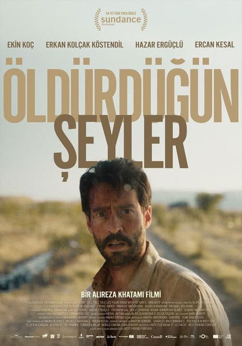 Öldürdüğün Şeyler afişi