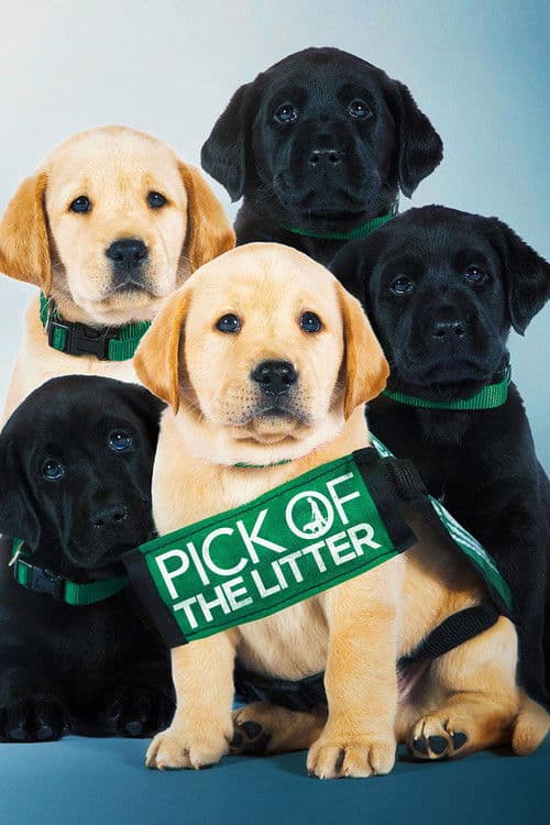 Pick of the Litter afişi