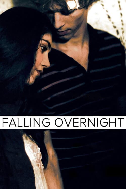 Falling Overnight afişi