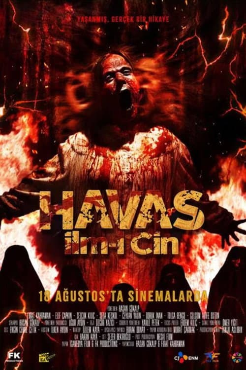 Havas İlm-i Cin afişi
