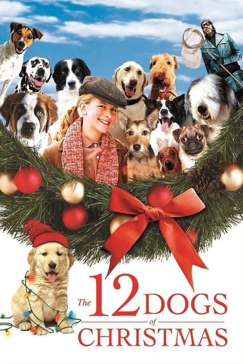 12 Noel Köpeği afişi