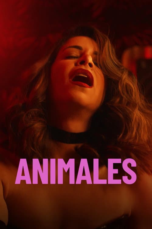 Animales afişi