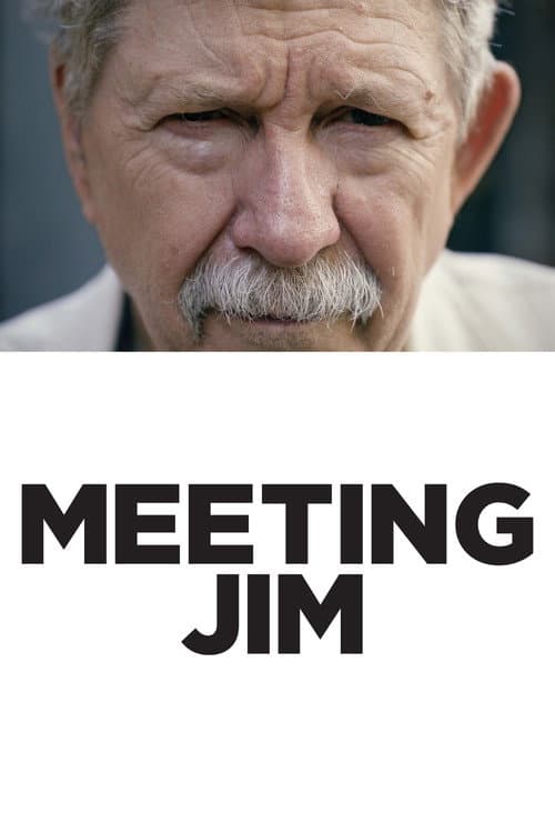 Meeting Jim afişi