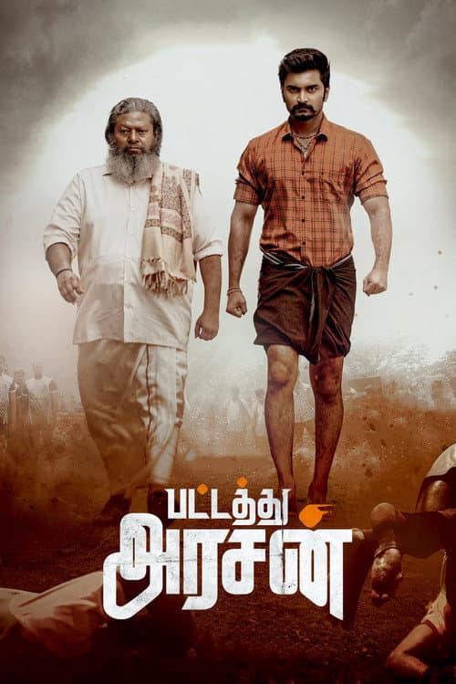 பட்டத்து அரசன் afişi