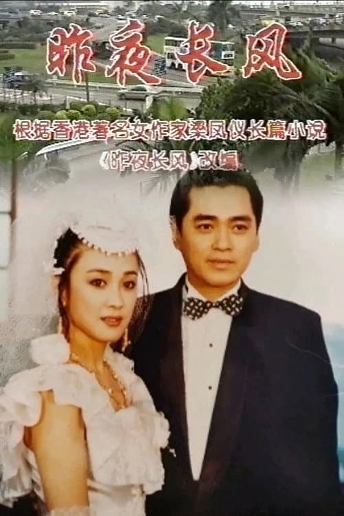 昨夜长风 afişi