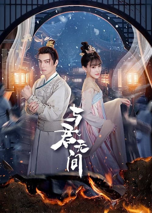 与君无间 afişi