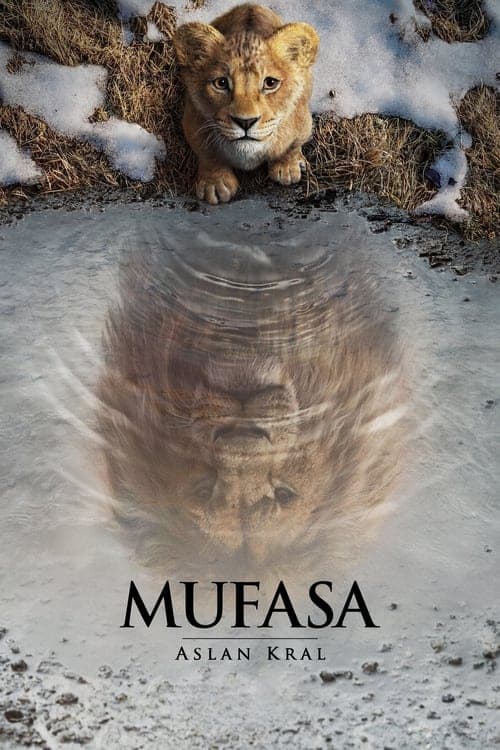 Mufasa: Aslan Kral afişi