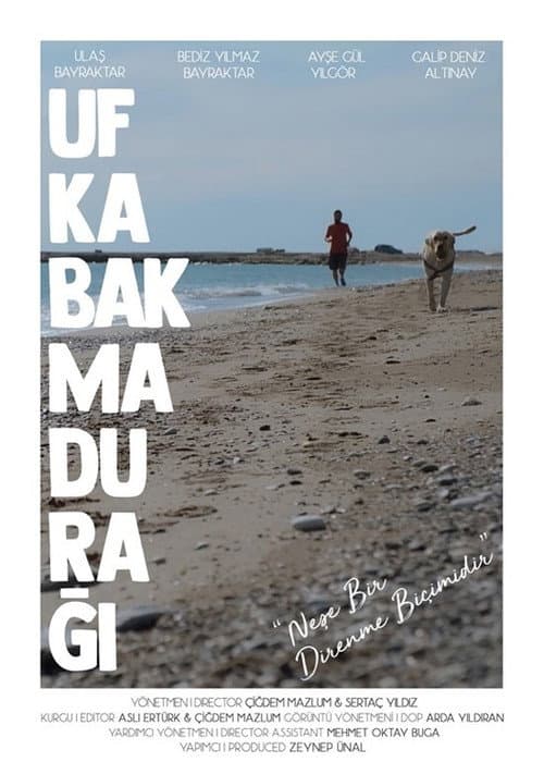 Ufka Bakma Durağı afişi