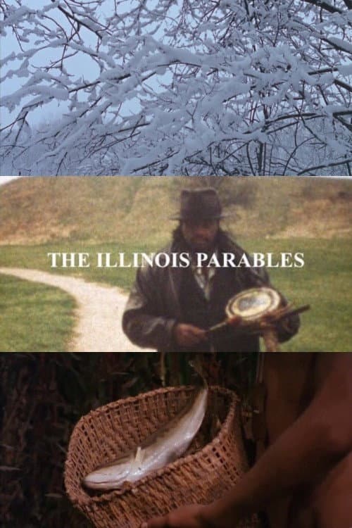 The Illinois Parables afişi
