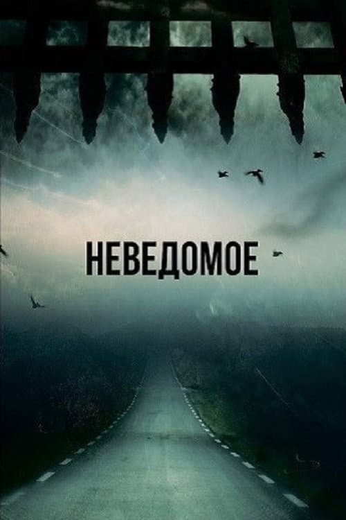 Сквозь время afişi