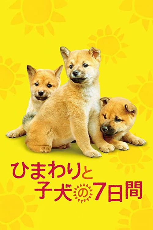 ひまわりと子犬の7日間 afişi