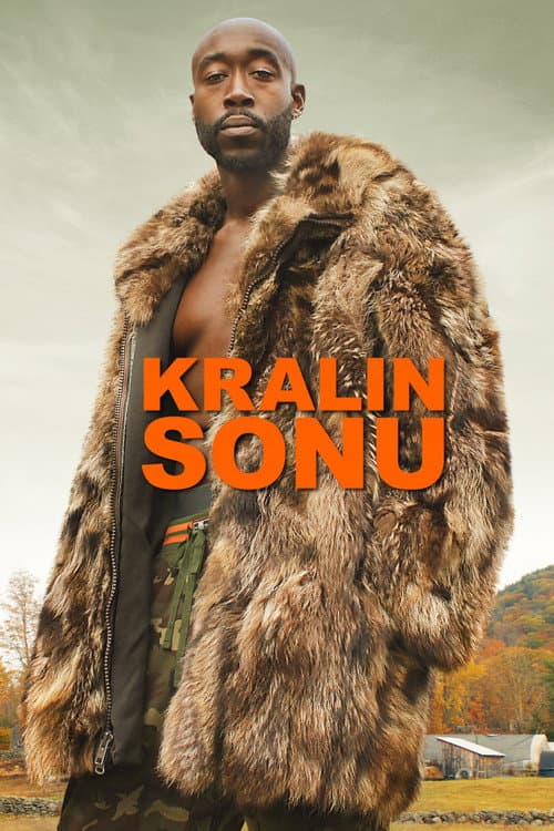 Kralın Sonu afişi
