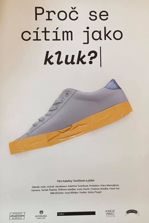 Proč se cítím jako kluk? afişi