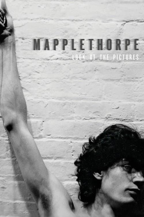 Mapplethorpe: Look at the Pictures afişi