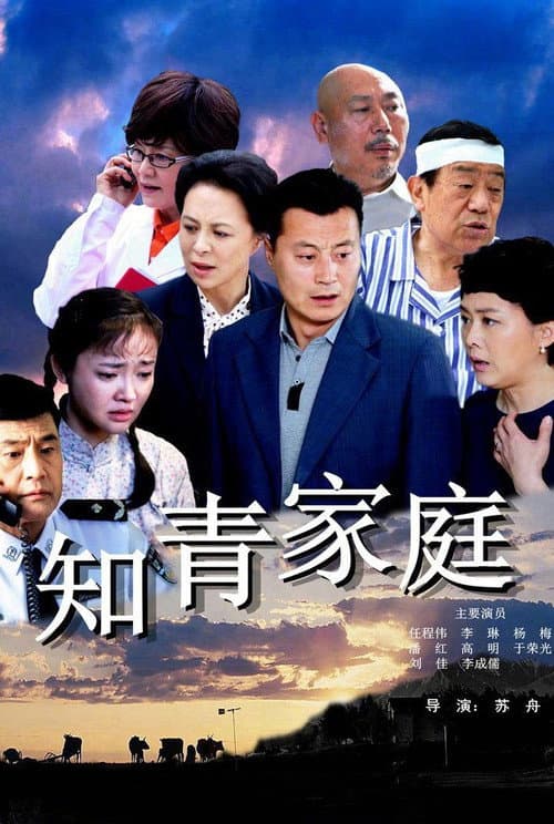 知青家庭 afişi