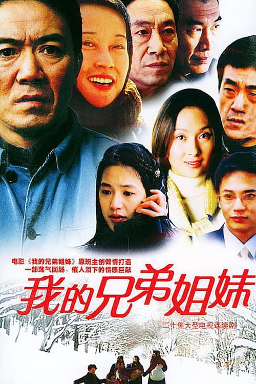 我的兄弟姐妹 afişi