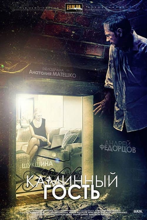 Каминный гость afişi