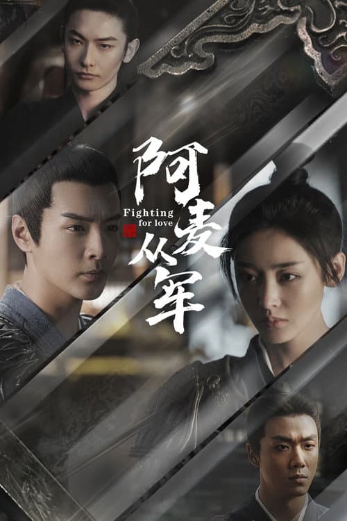 阿麦从军 afişi